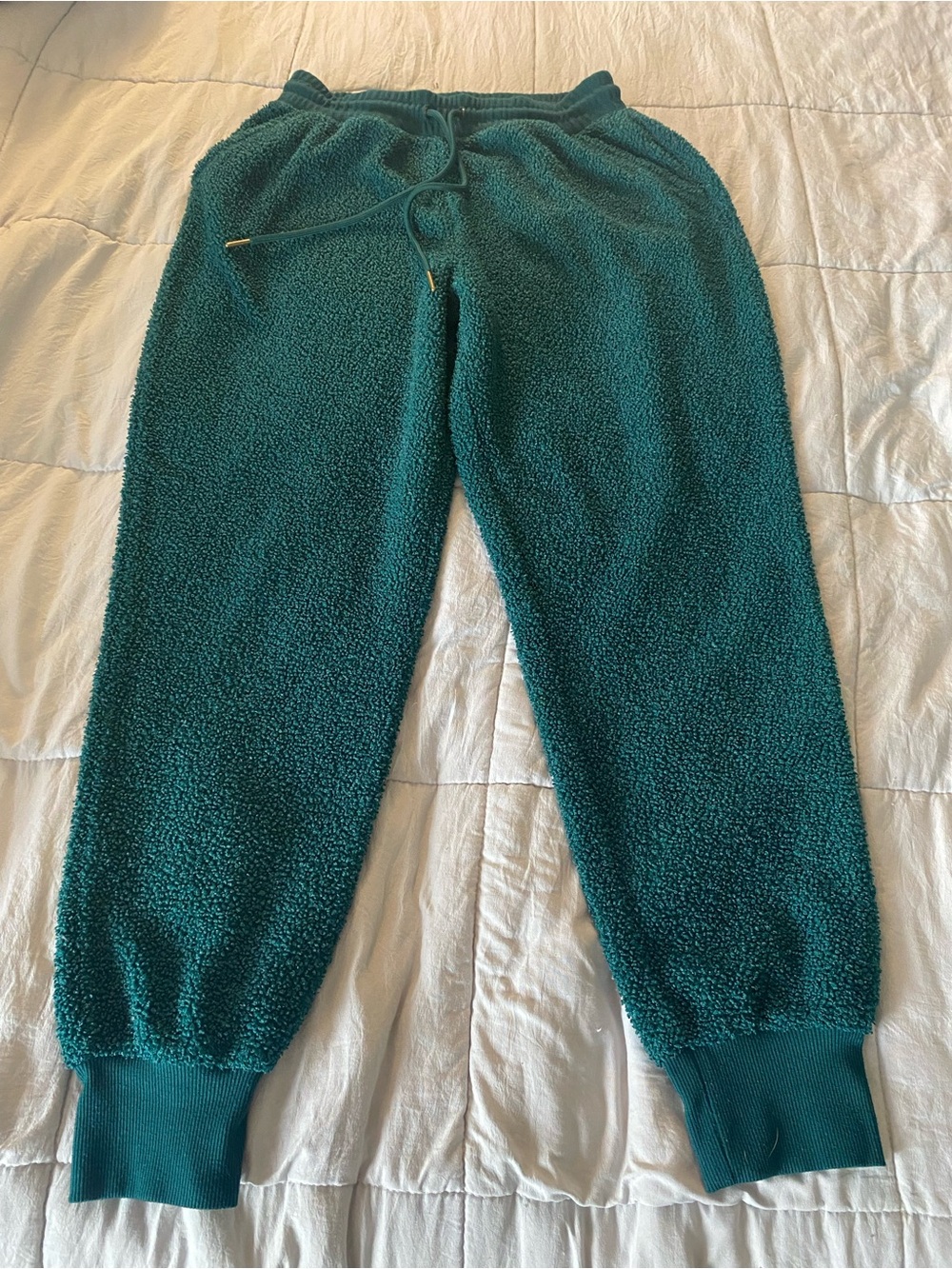 Cozy Sherpa Jogger Pants in Teal for women